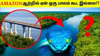 அமேசான் ஆற்றில் ஏன் பாலம் கட்ட முடியவில்லை? | Why Amazon River Has No Bridge? | Tamil Amazing Facts