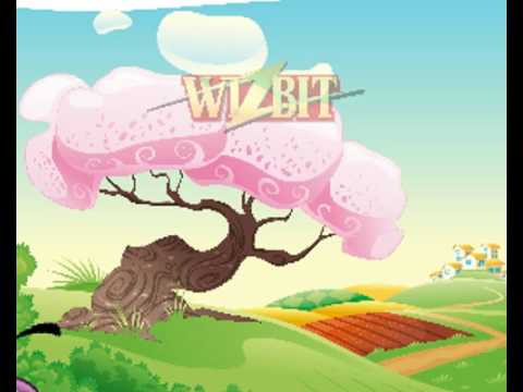 Wizbit 2D introduction