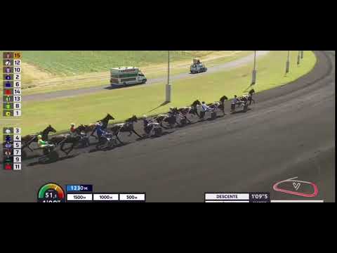 LE PRIX ALBERT VIEL 2023