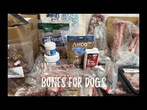 The Ultimate Guide to Feeding Bones to Dogs: Myths, Benefits, and Tips with Nurturing by Nature