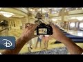 Welcome Aboard The Disney Cruise POV Disney Cruise Line