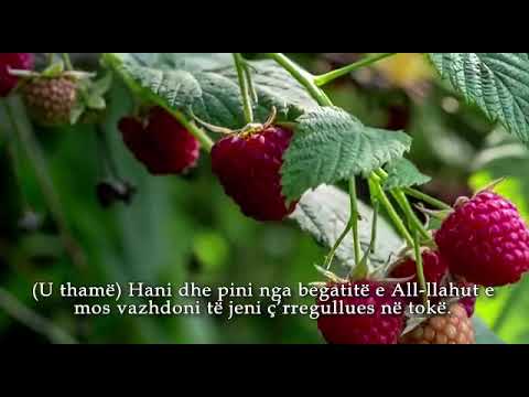 Namazi i Sabahut Ramazan 2022 Hoxhë Jasir Krasniqi  صلاة الفجر - رمضان ٢٠٢٢