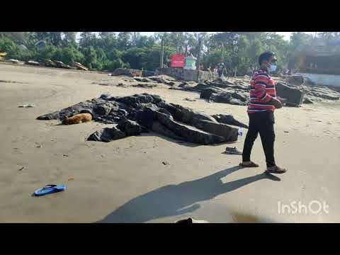 VAGATOR BEACH GOA #goabeach#northgoa #vibes #beaches #trending #exploreincediblegoa #travelbegins