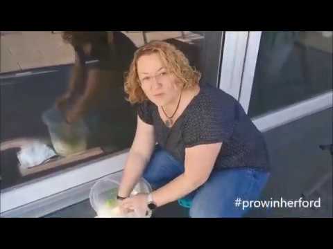 FENSTERPUTZEN mit den proWIN WINDOW - WONDER Tüchern