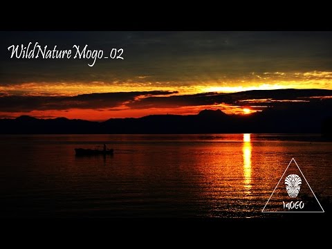 Best of Tropical House Mix - MOGO - WildNatureMogo_02