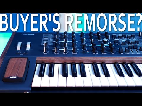 Oops I bought a Polybrute...