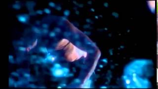 Dannii Minogue  - Disremenbrance