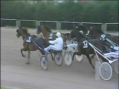 Trotto 06/12/2019 - 5ª corsa