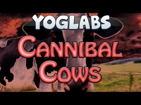 Minecraft Mods - Cannibal Cows - YogLabs