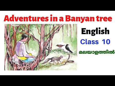 Let Off Meaning In Malayalam 03 22