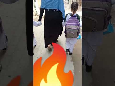 dono ven japhi pawa gy changeray nikalan gy