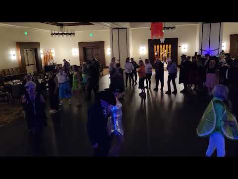 DJ BEE - DJBEE.Net video.