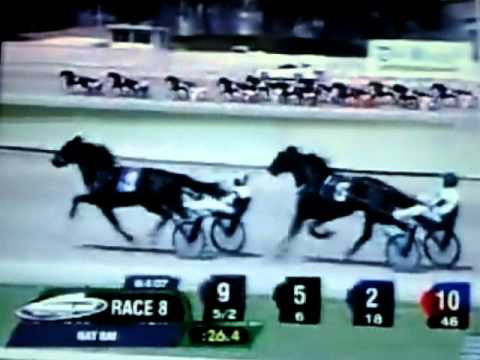 2007 Hambletonian Day - Race 8 - Nat Ray