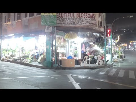 Unfolding Dangwa At 3AM On Sunday | Artist Adventures