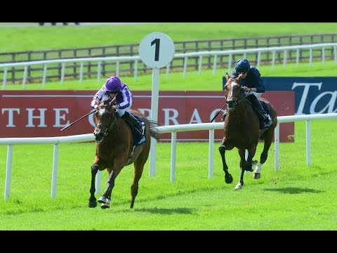 Tattersals Gold Cup (G1)  2019 -  Magical