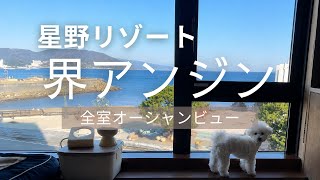 【星野リゾート 界アンジン】伊東のコスパ温泉宿に宿泊｜全室オーシャンビュー｜マタニティ旅行Vlog