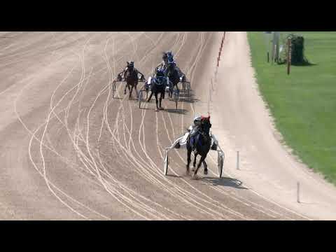 2019.06.08. 04. futam - 2019. ÉVI AMATŐR KUPA VI. FUTAMA HENDIKEP