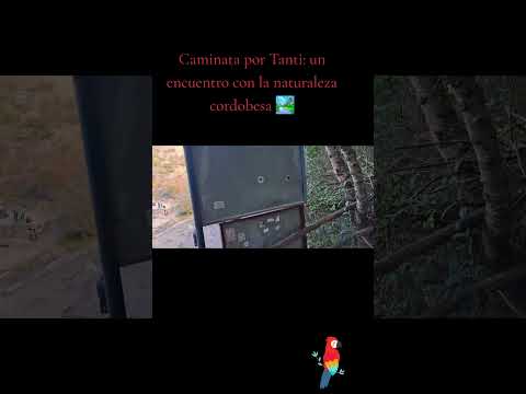🌿 Caminata por Tanti: un encuentro con la naturaleza cordobesa 🏞️Recorrer los senderos de Tanti, en