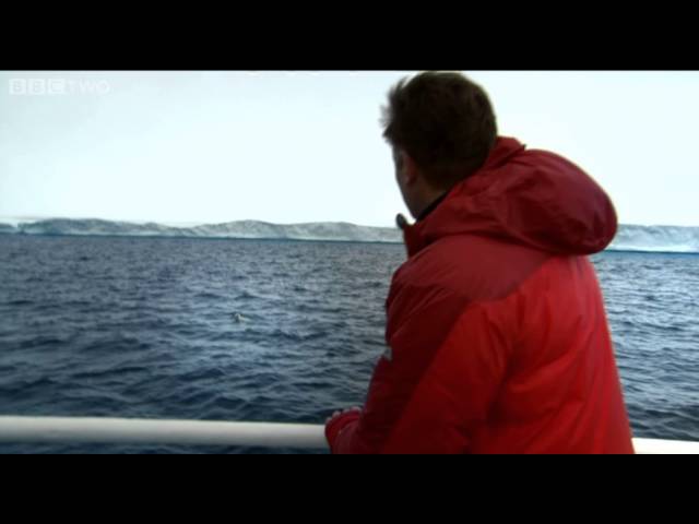 The team discovers polar bears - Operation Iceberg - Episode 2 - BBC Two