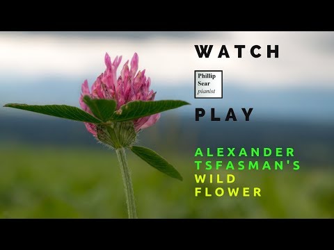 Alexander Tsfasman: Wild Flower