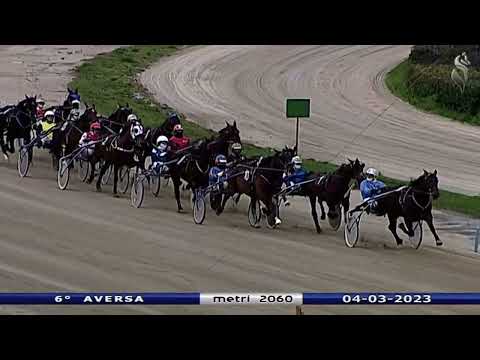 Aversa trotto 4 Marzo 2023 - 6° Corsa
