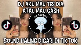 Download lagu DJ AKU MAU TES DIA ATAU MAU CASH || DJ KASIH ABA ABA VIRAL DI TIKTOK‼️ mp3