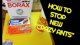 If you have new crazy ants and poisons not working try this