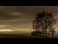 Felicidade  -  Caetano Veloso