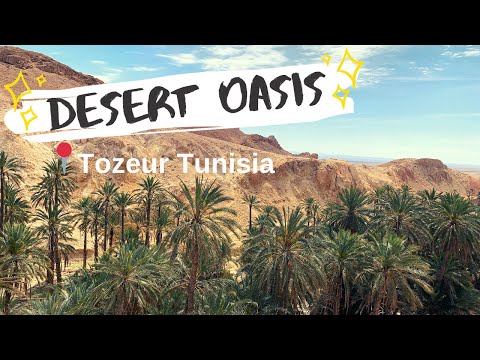 TOZEUR TUNÍSIA - TOUR PELO OÁSIS DO DESERTO (vlog de viagem 2019)