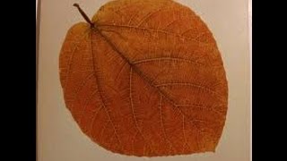 Season Pete Jolly -Younger Than Springtime   /A&M 1970