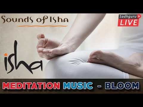 Isha Inner Engineering Meditation Music.