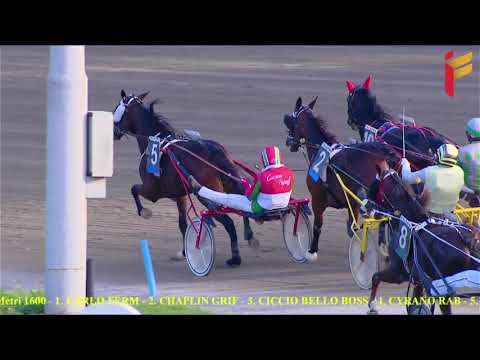 IV Corsa del 6 Dicembre 2021 - 3 Anni - Metri 1600