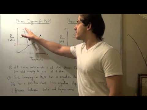 Carbon Dioxide vs Water Phase Diagrams