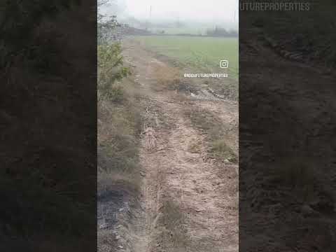  10 Bigha Agricultural/Farm Land for Sale in Yamuna Expressway, Greater Noida