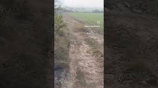  Agricultural Land for Sale in Yamuna Expressway, Greater Noida