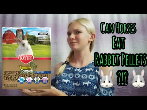 YouTube video about: Can pigs eat rabbit pellets?
