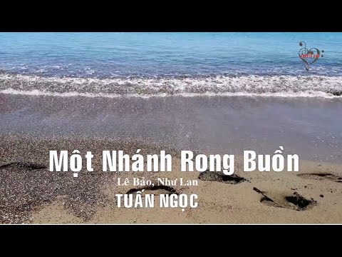Một nhánh rong buồn - Tuấn Ngọc