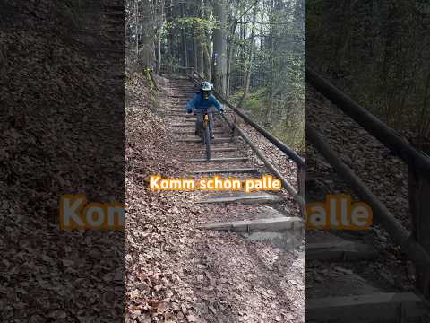 Schaffen wir es das Paluten dieses Video kommentiert? #mtb #palette