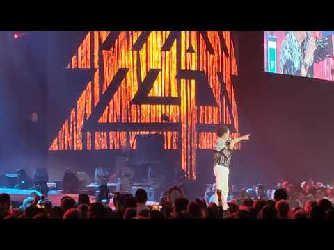 Fenyő Ünnep Aréna 2019 - Angyalföldi pálmafák