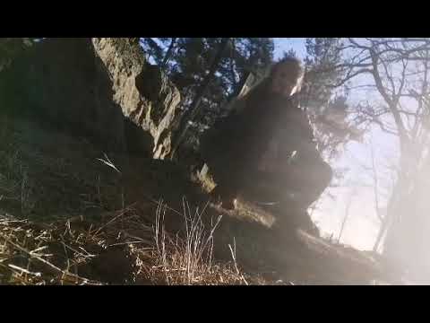 Barnvagns promenad i🌞 skön styrka och stretch, och en tacksamhetstanke i varje 🙏