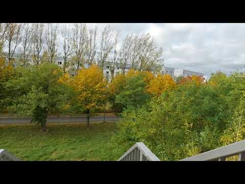 STURMTIEF IGNATZ WÜTET IN SACHSEN. BÖEN UM 110 KMH.