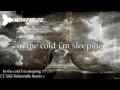 Wynardtage - In the cold I´m sleeping ( L'Âme ...