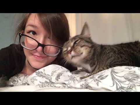 Cat loves cute girl (Glasses girl & Clingy cat )