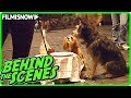 LADY AND THE TRAMP 2019 Behind The Scenes Of Disney Live Action Movie