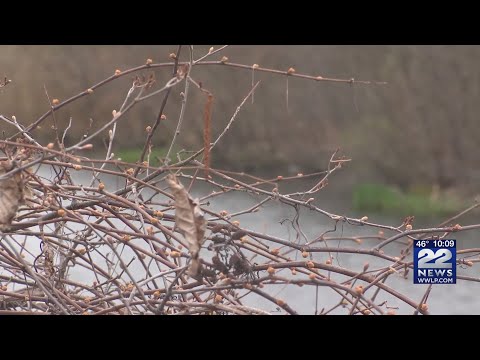 Residents urged to conserve water as western Massachusetts enters mild drought