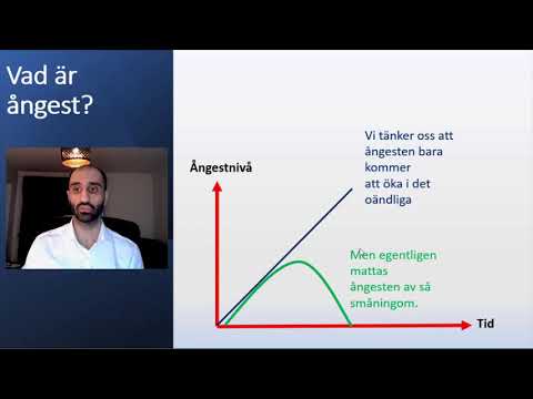 1-minutsserien: Vad är ångest?