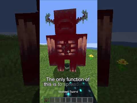 What's the useless mob drop in Minecraft? |#shorts