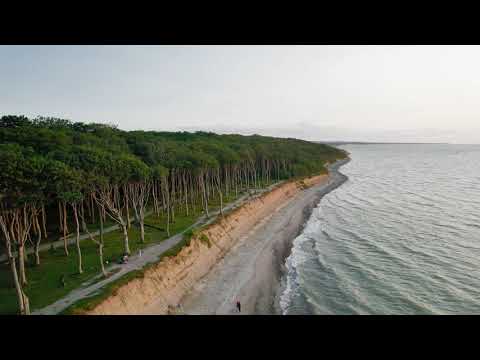 Short - Drone - Gespensterwald Nienhagen - Juli 2021