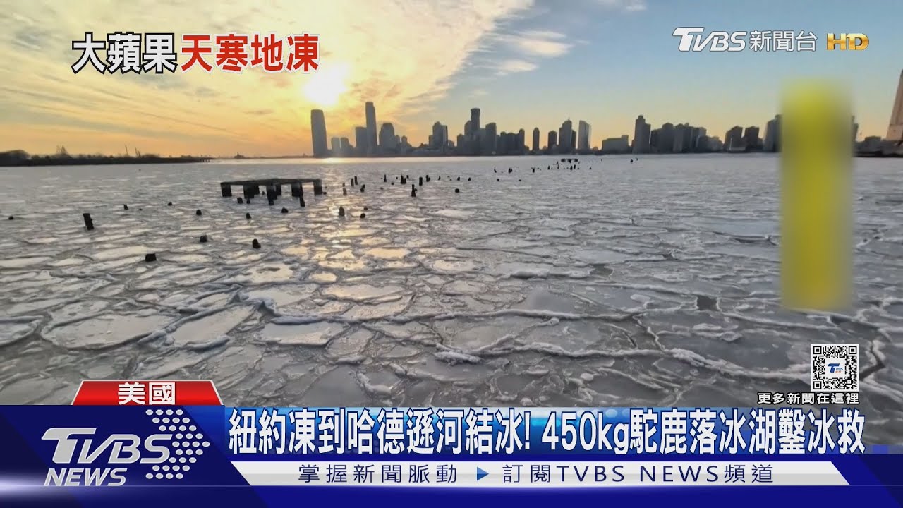 紐約凍到哈德遜河結冰! 450kg駝鹿落冰湖鑿冰救