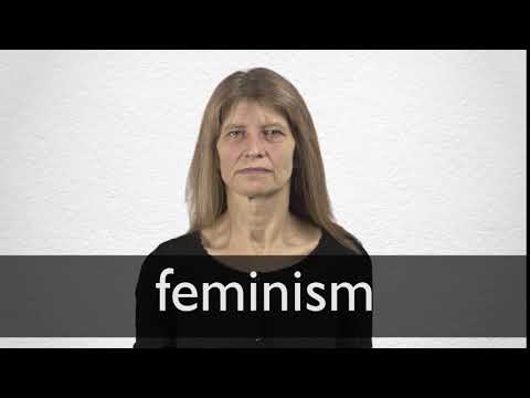 FEMINISM definition and meaning | Collins English Dictionary